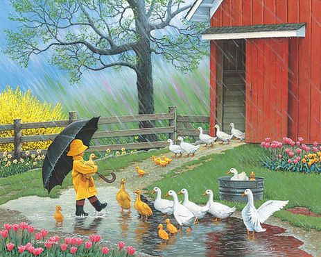 resized - boy and ducks in rain