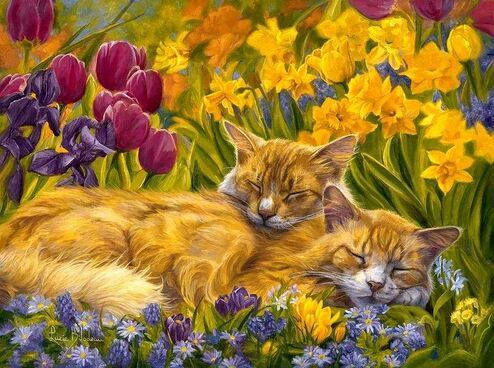 resized - cats napping