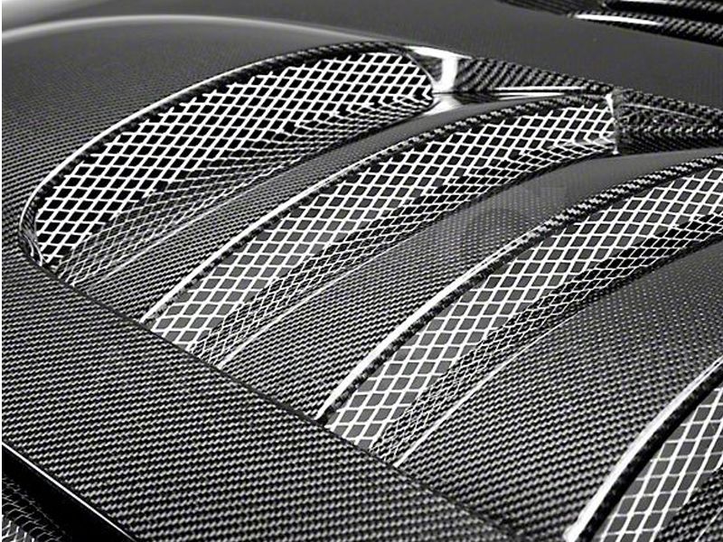 2005-2009_FORD_MUSTANG_TYPE-SS_CARBON_FIBER_HOOD_1