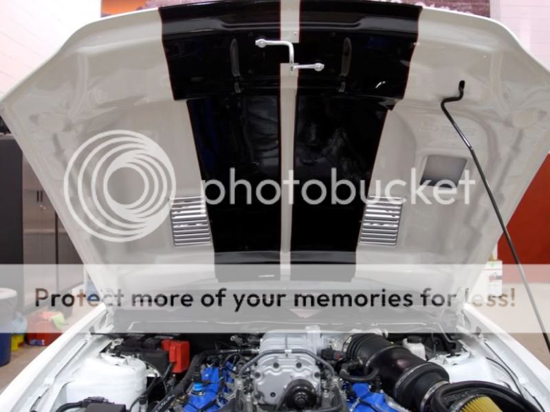 2010-2014_Black_Mamba_fiber_hood_underside_1