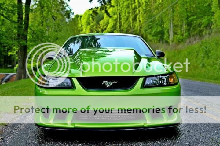 FB_IMG_1552769236122