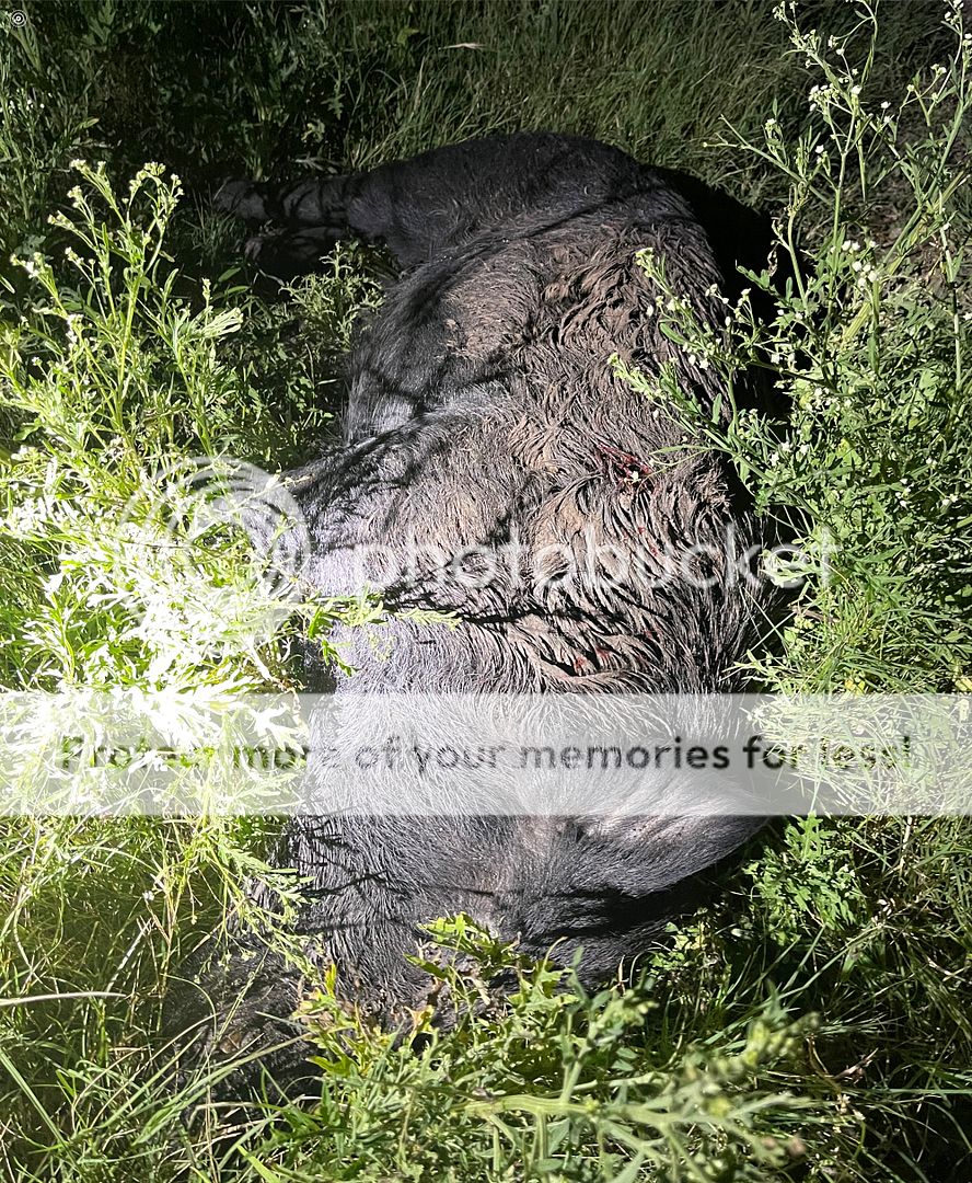 BC33CB96-98BD-4D99-87B7-D6225278B9DF.jpe