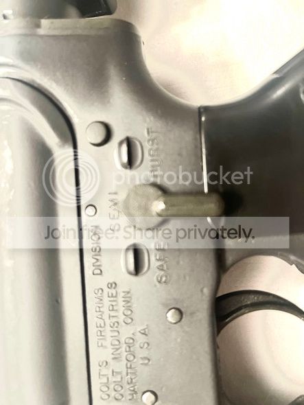 IMG_1095.jpg?width=590&height=590&fit=bo