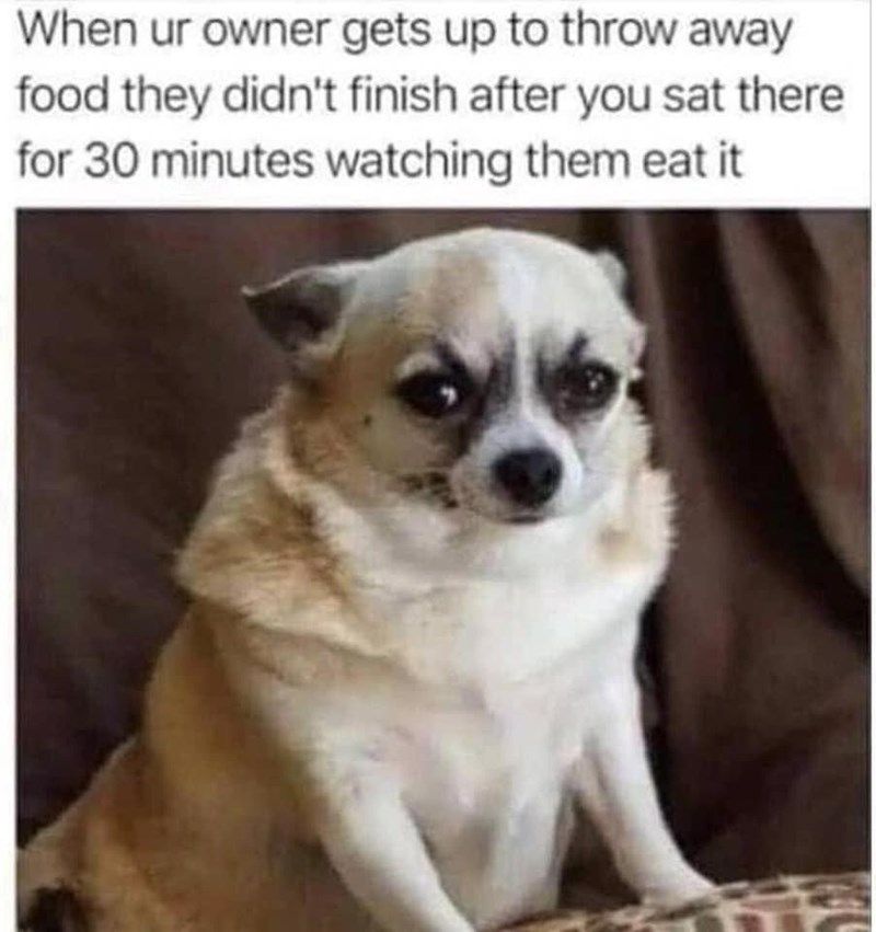 30-minutes-watching-them-eat