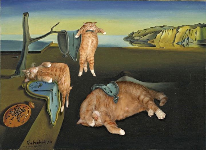 Dali Cat