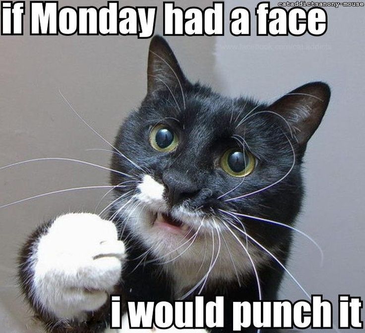 Monday-punch