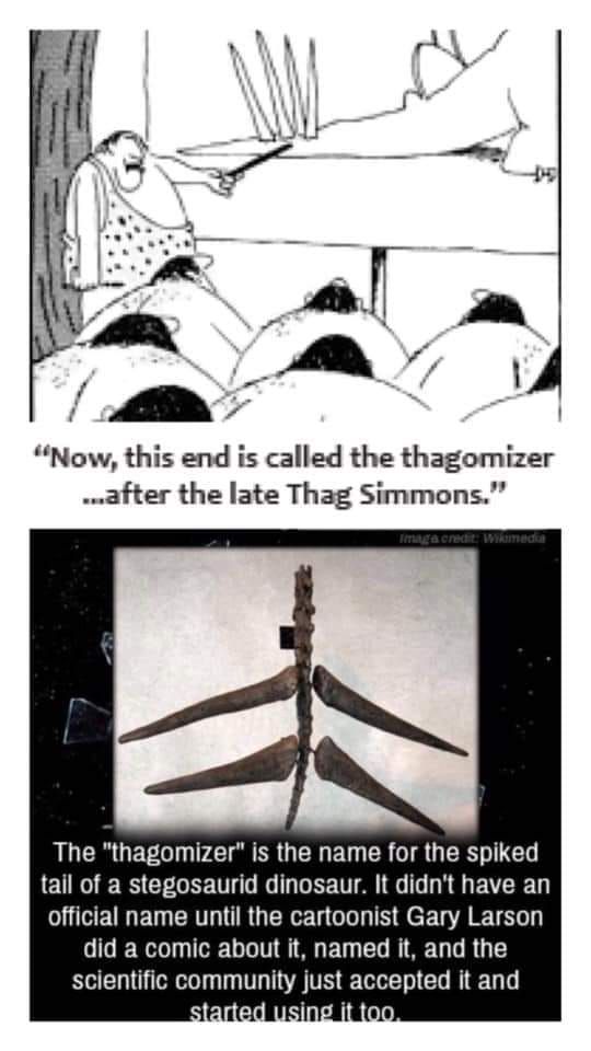 Thagomizer