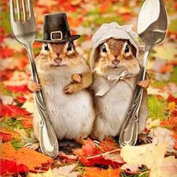 Thanksgiving_critters