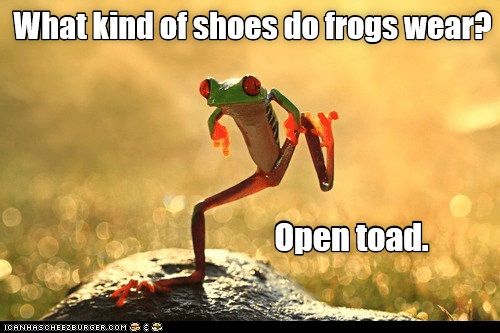 amphibian_footwear