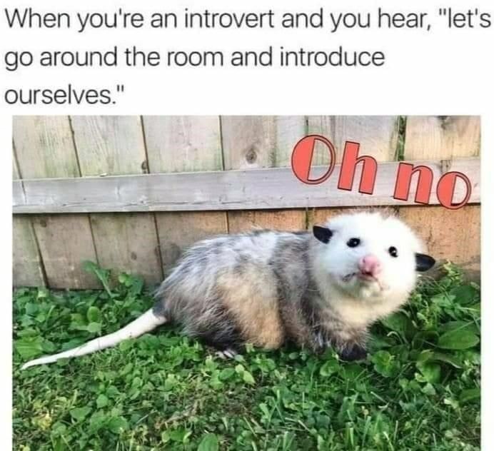 an-introvert-and-hear-lets-go-around-room-and-introduce-ourselves-oh-no