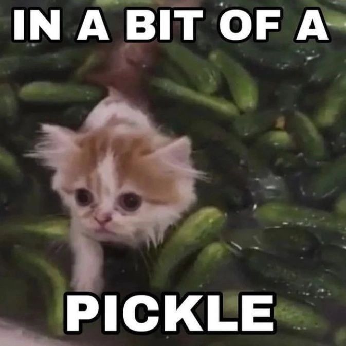 bit-pickle