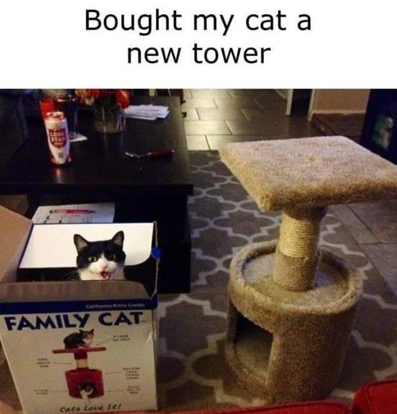 box-bought-my-cat-new-tower