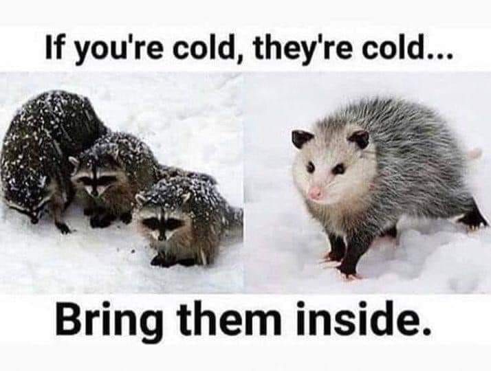 bring inside