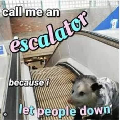 call-me-an-escalator-because-let-people-down