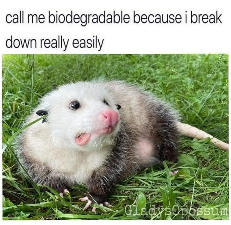 call-me-biodegradable