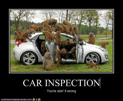 car-inspection