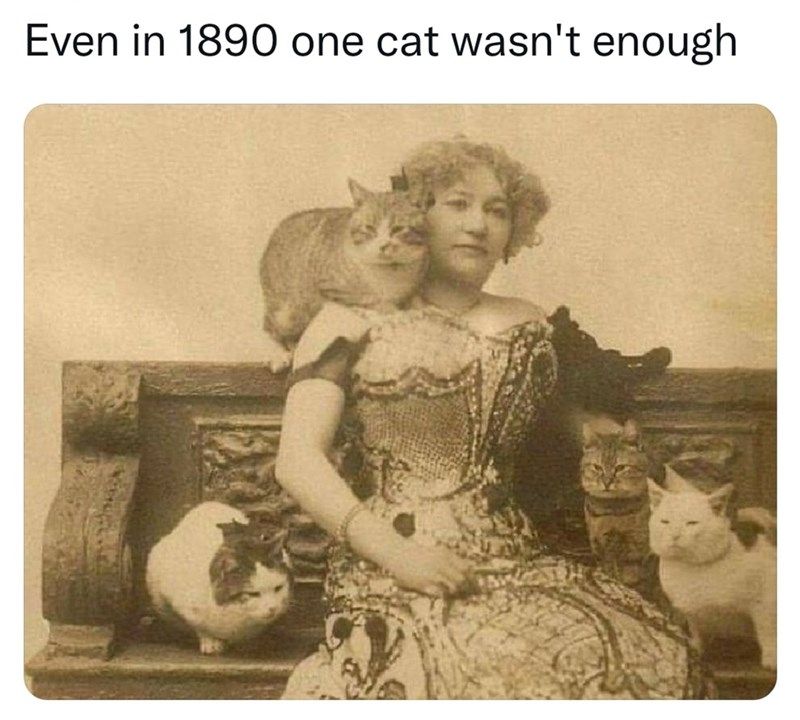 cat-even-1890-one-cat-wasnt-enough
