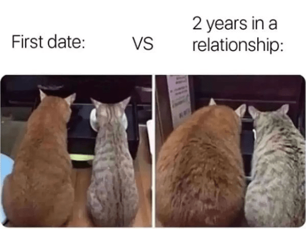 cat-first-date-vs-2-years-relationship