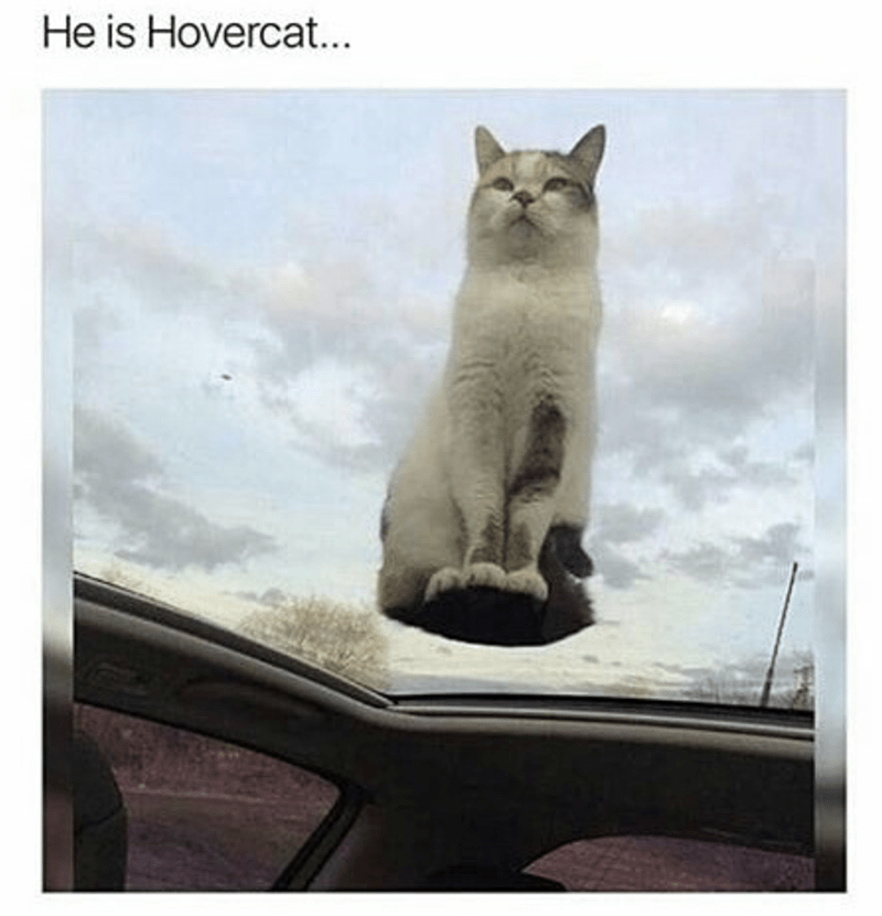 cat-he-is-hovercat