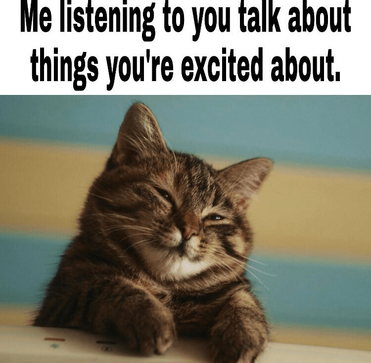 cat-listening-talk-about-things-excited-about