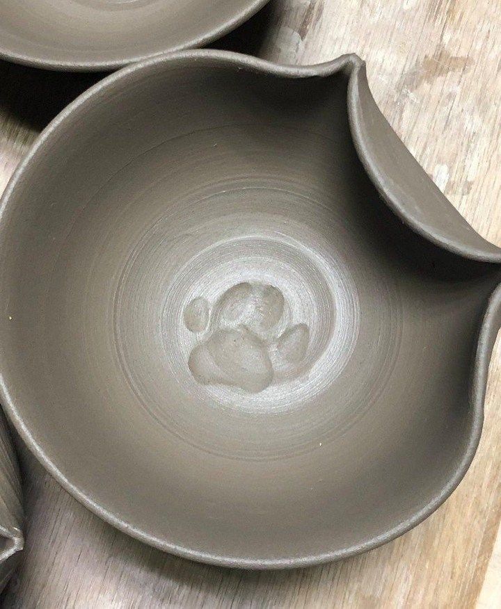 cat-paw-impression-left-in-a-ceramic-bowl