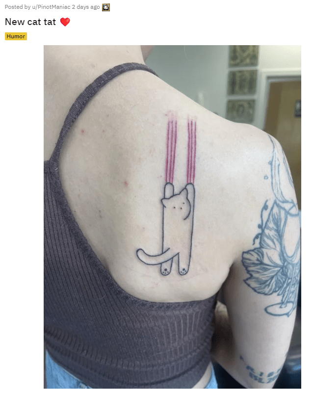 cat tat