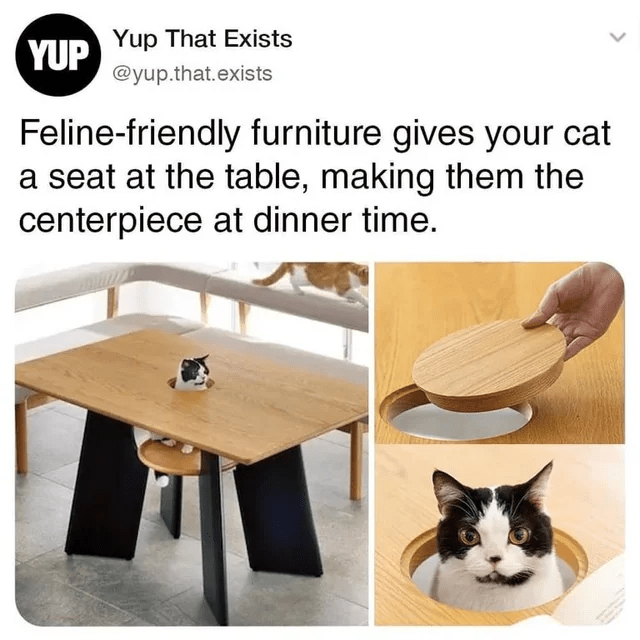 centerpiece-at-dinner-time