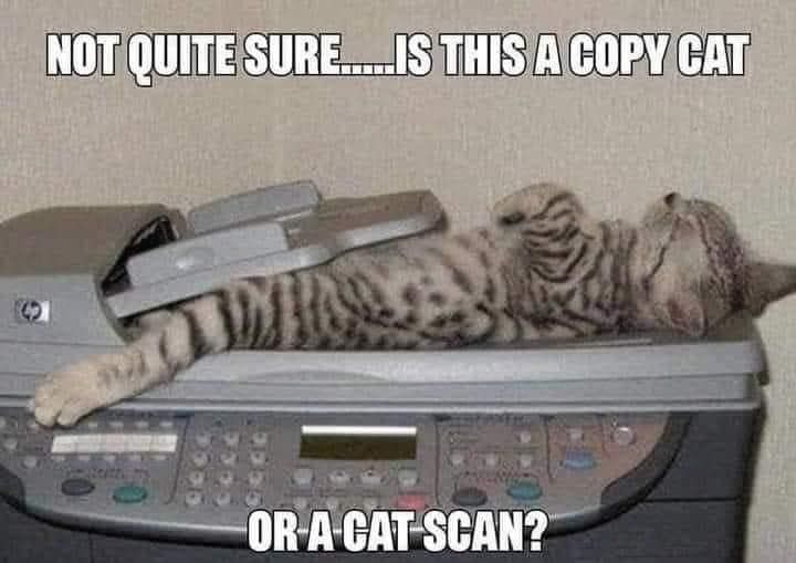 copy_cat_or_cat_scan