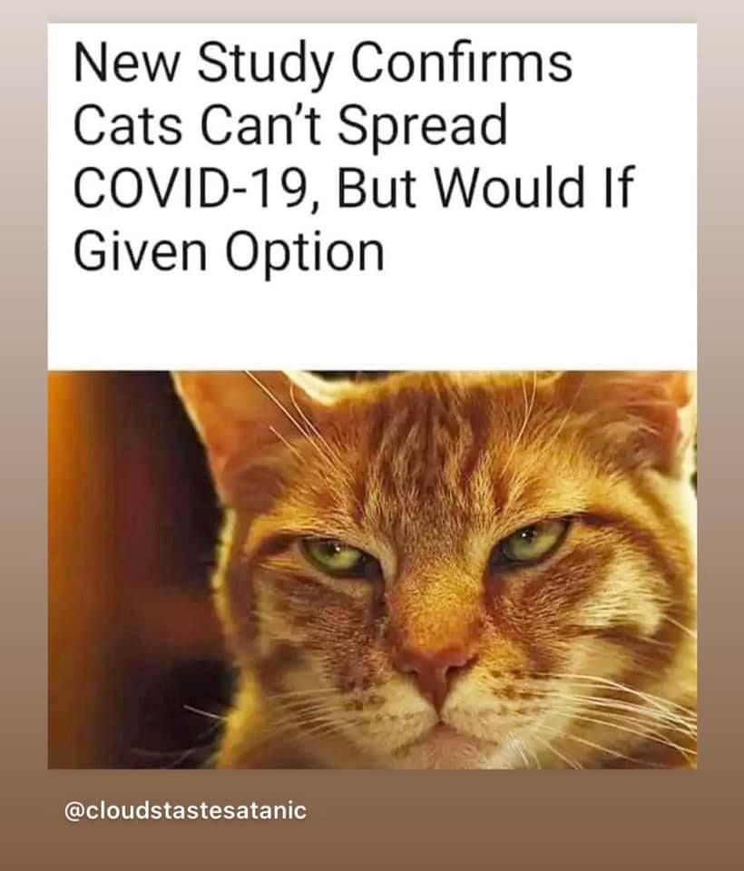 covid_cats