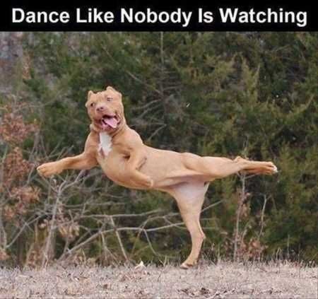 dance-like-nobody-is-watching