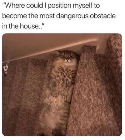 dangerous-obstacle