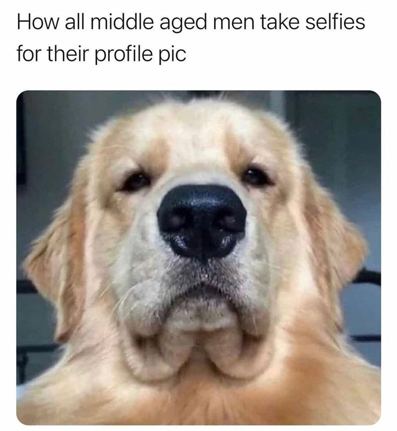 dog-all-middle-aged-men-take-selfies-their-profile-pic