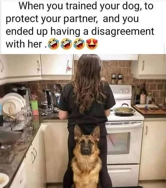 dog-trained-to-protect-partner_and_you_have-disagreement-with-her