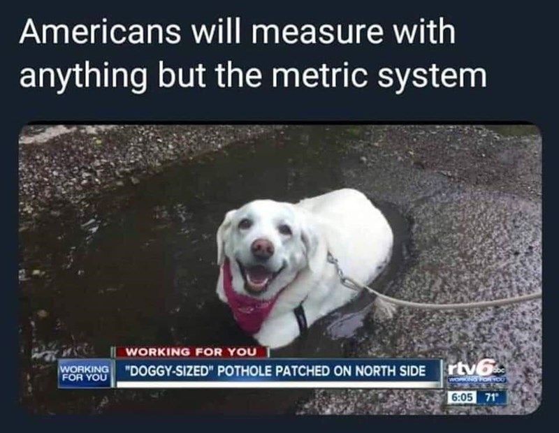 doggy-sized-pothole
