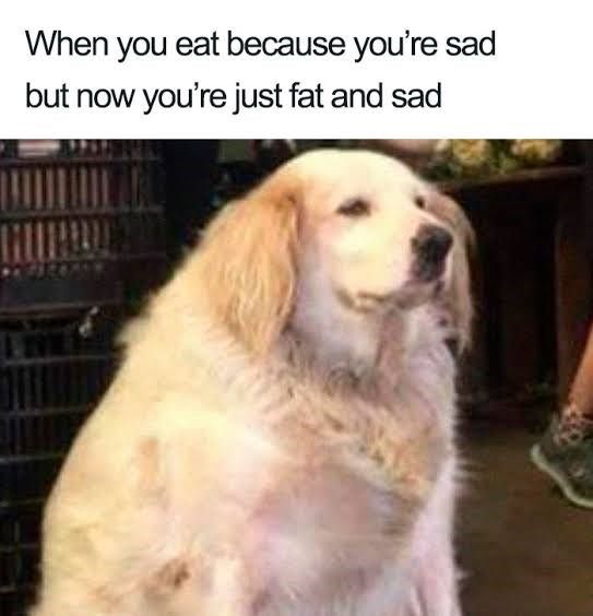 fat-and-sad