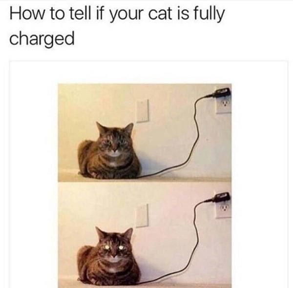 fully-charged