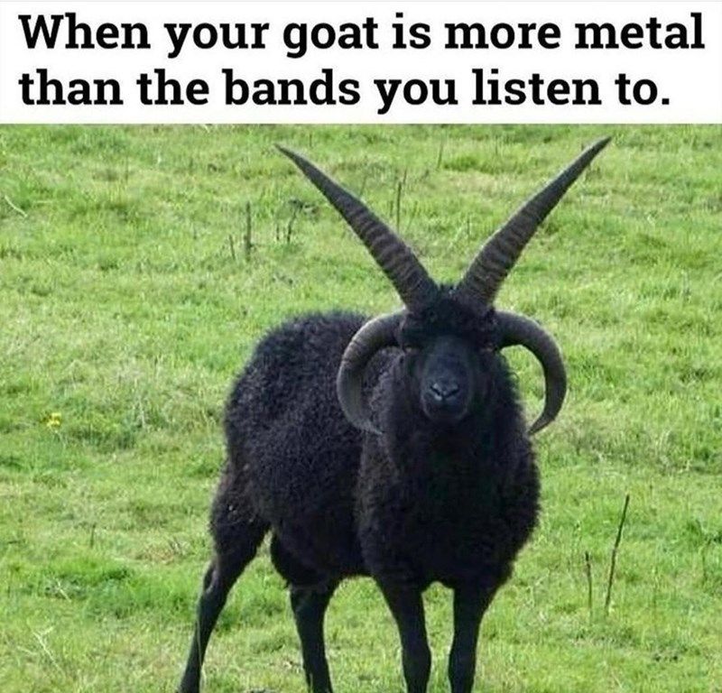 goat-is-more-metal-than-bands-listen