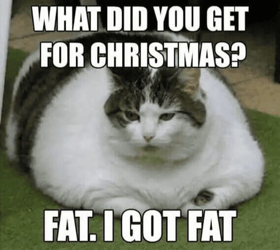 got fat