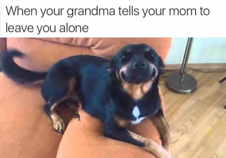 grandma-tells-your-mom-to-leave-you-alone