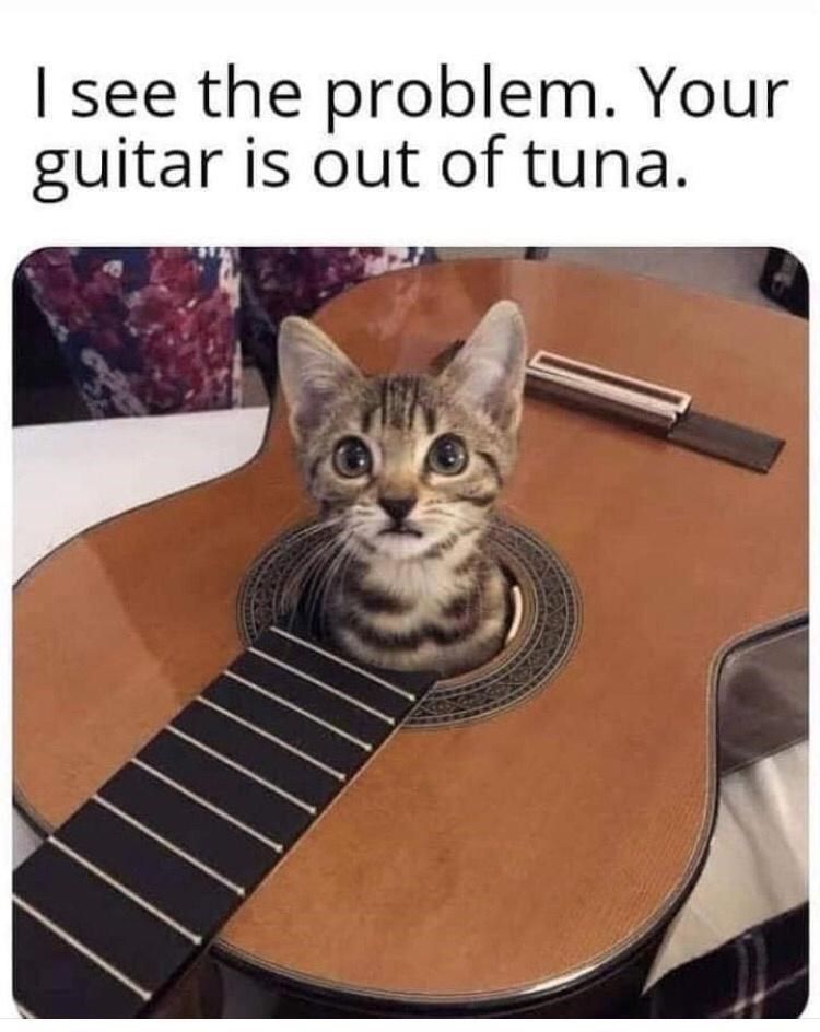 guitar-is-out-tuna