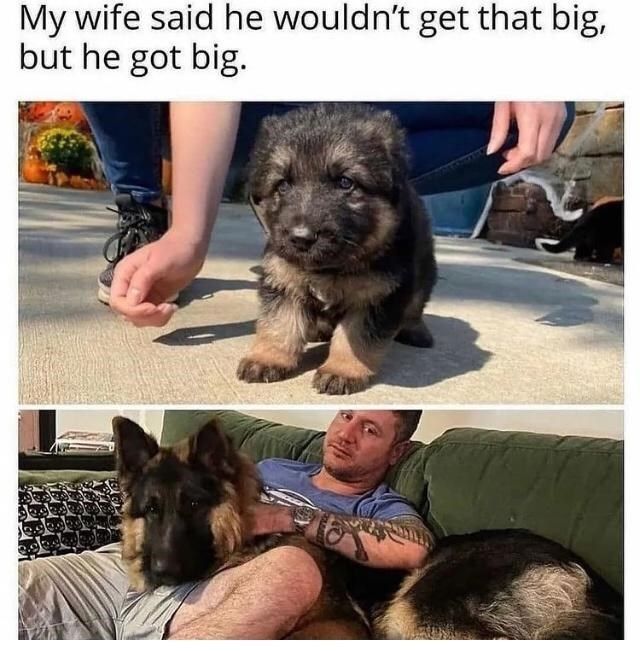 he-got-big