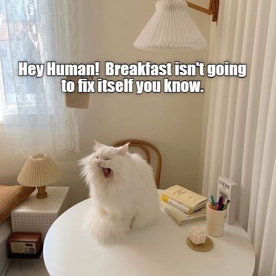 humannnnnn-where-is-my-breakfast