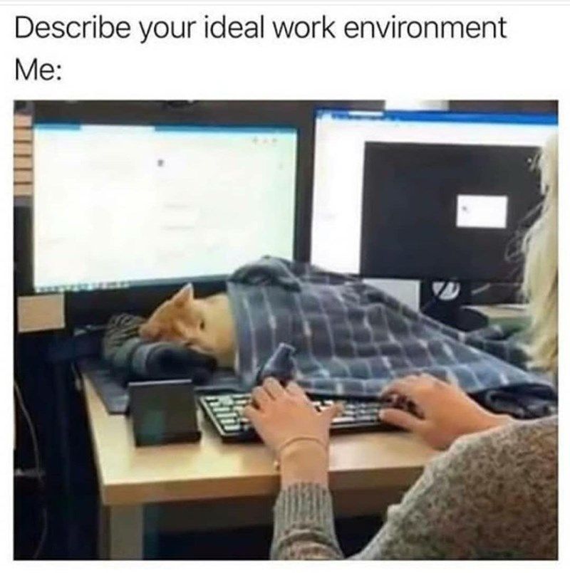 ideal-work-environment