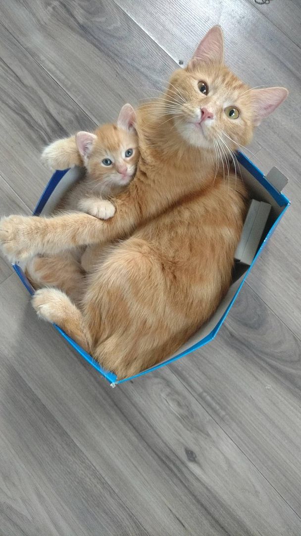 if-it-fits-it-sits-mom-and-son