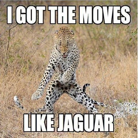 igot-the-moves-like-jaguar