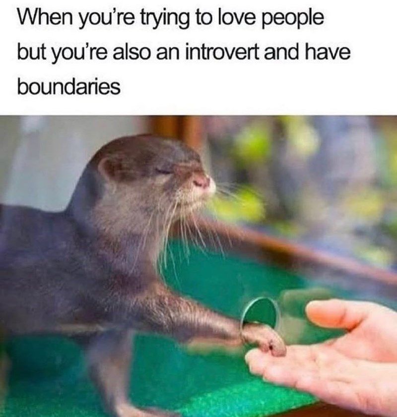 introvert-and-have-boundaries