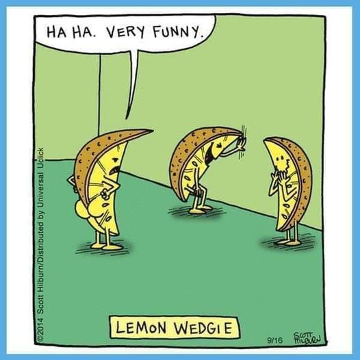 lemon_wedgie