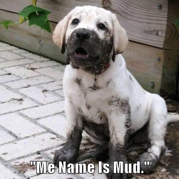 me_name_is_mud