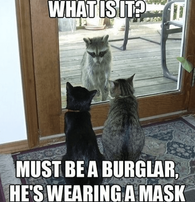must-be-burglar