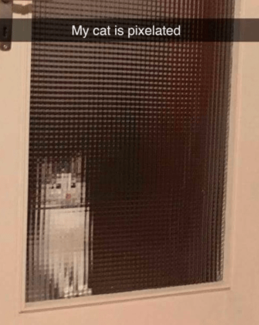 my-cat-is-pixelated